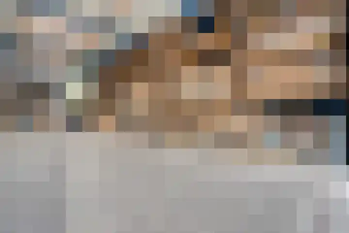 Bloeme-weide 6 Haarle thumbnail 56