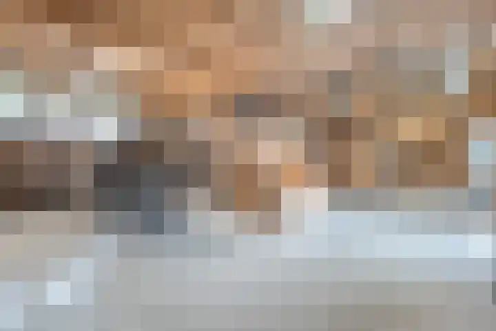 Bloeme-weide 6 Haarle thumbnail 65