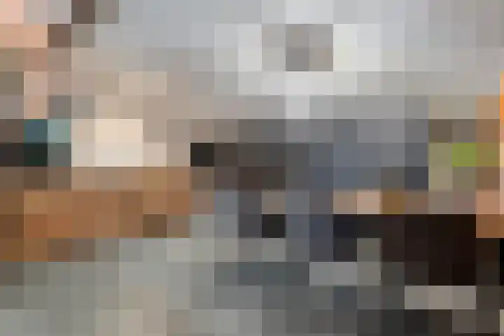 Bloeme-weide 6 Haarle thumbnail 69