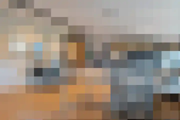 Bloeme-weide 6 Haarle thumbnail 75