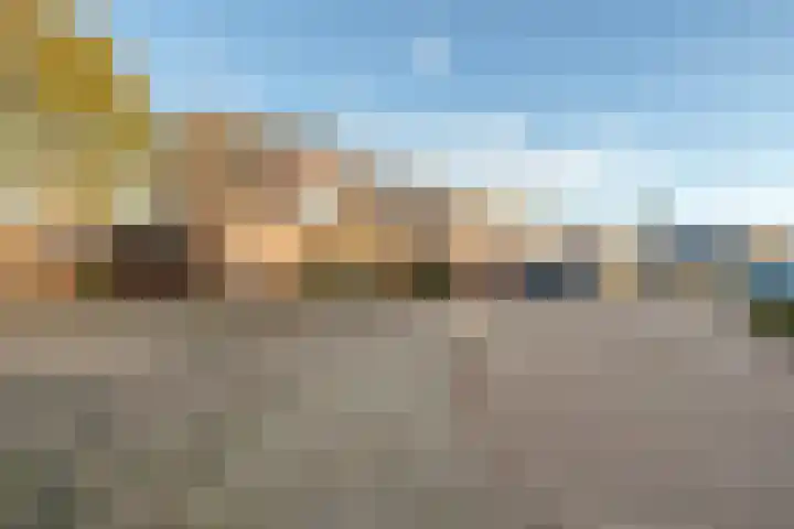 Bloeme-weide 6 Haarle thumbnail 76