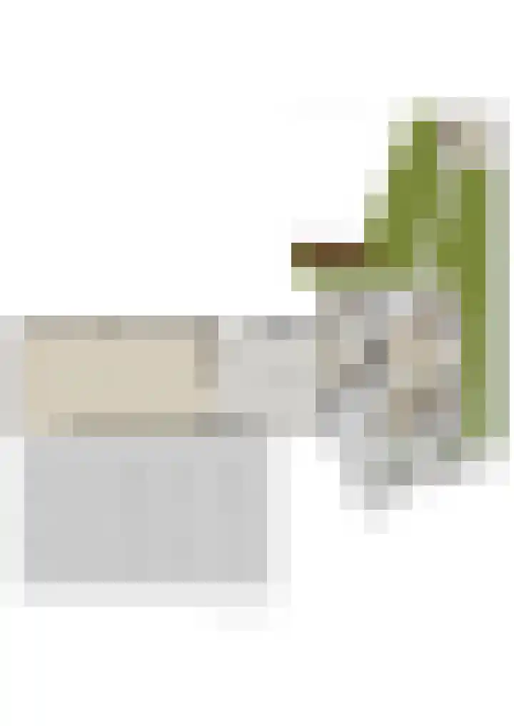 Bloeme-weide 6 Haarle thumbnail 86