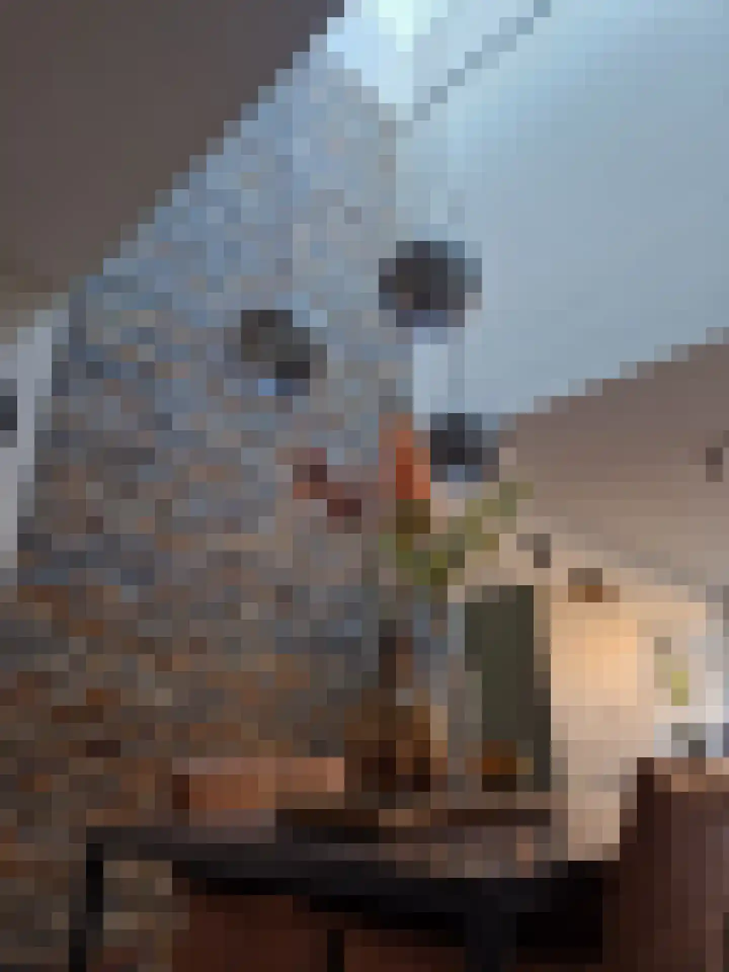Bloemenblauwtje 70 Breda thumbnail 12