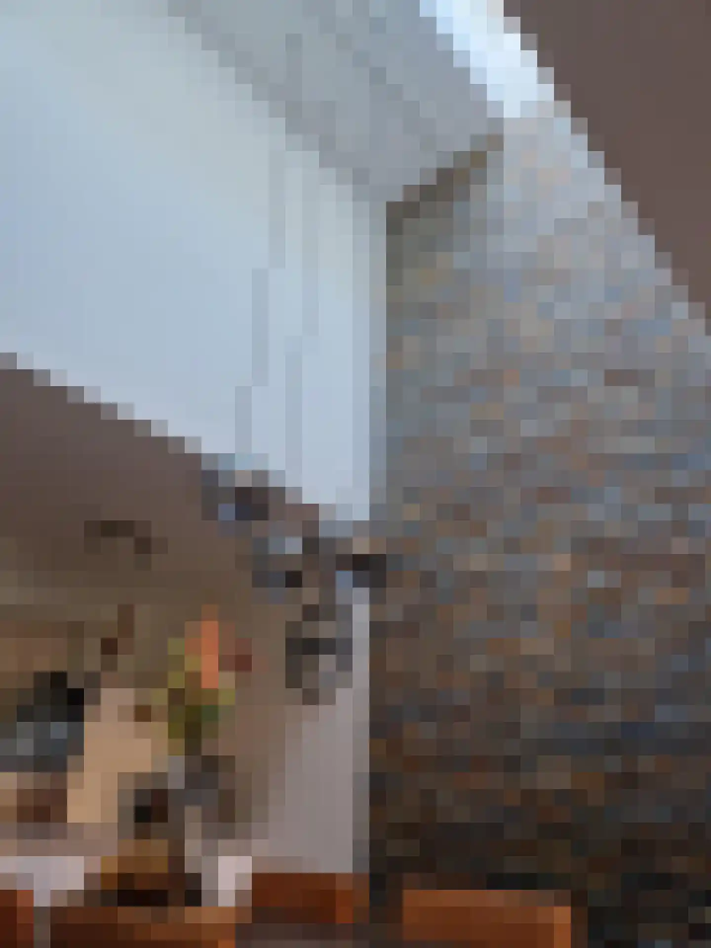 Bloemenblauwtje 70 Breda thumbnail 13