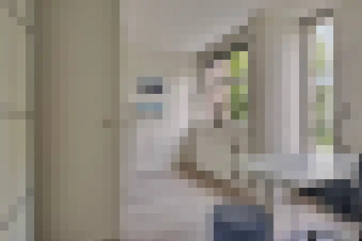 Bloemenblauwtje 70 Breda thumbnail 26