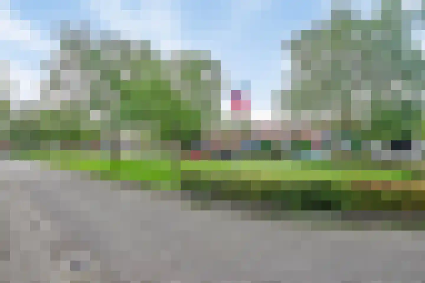 Bloemenblauwtje 70 Breda thumbnail 33