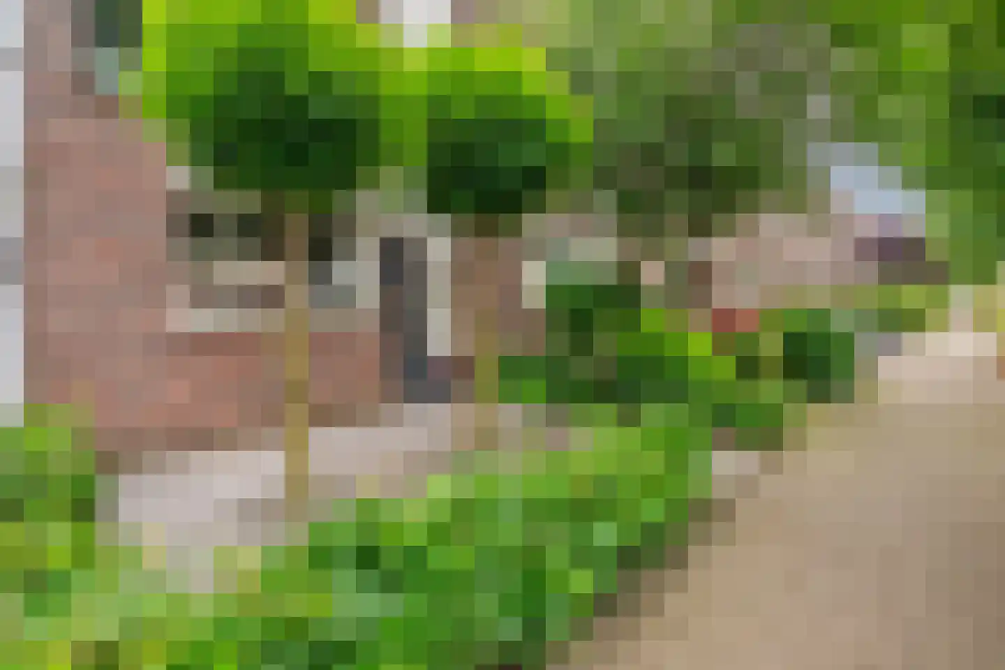 Bloemenblauwtje 70 Breda thumbnail 36