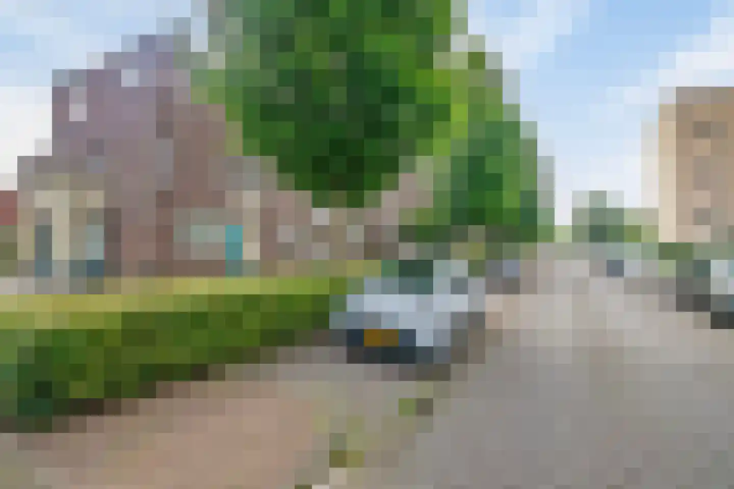 Bloemenblauwtje 70 Breda thumbnail 37