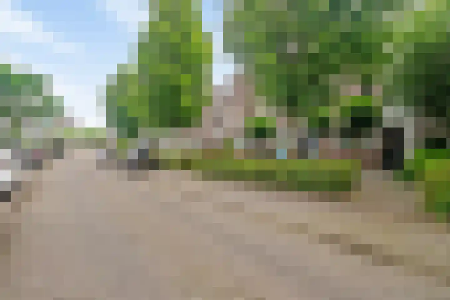 Bloemenblauwtje 70 Breda thumbnail 38