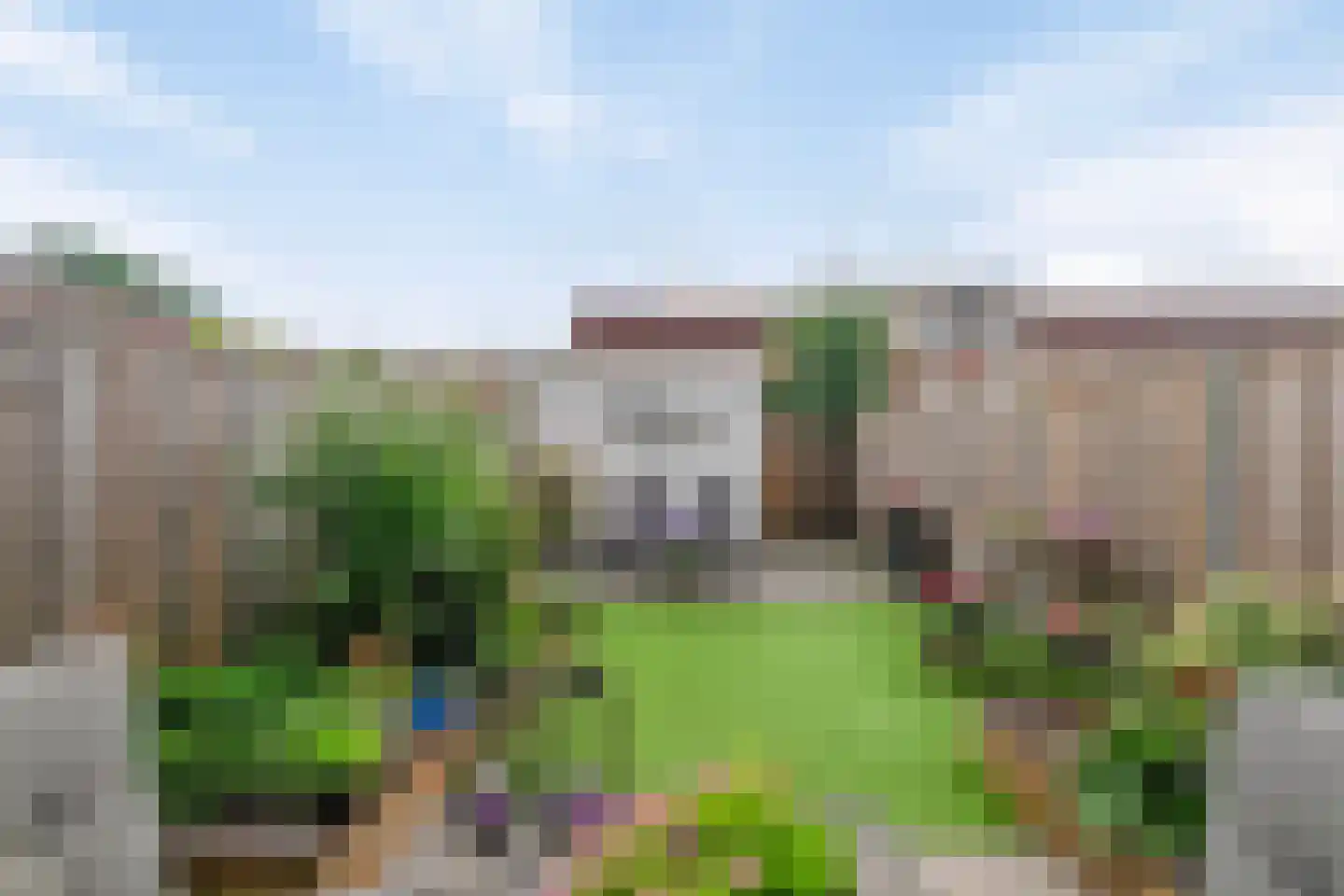 Bloemenblauwtje 70 Breda thumbnail 4