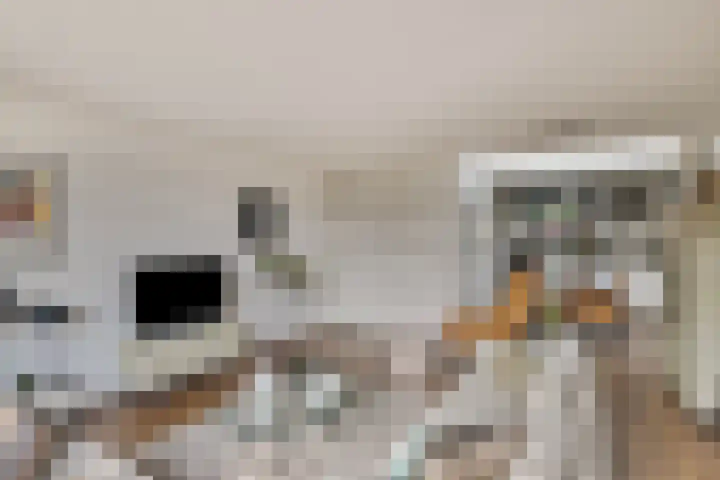 Bloemenblauwtje 70 Breda thumbnail 8