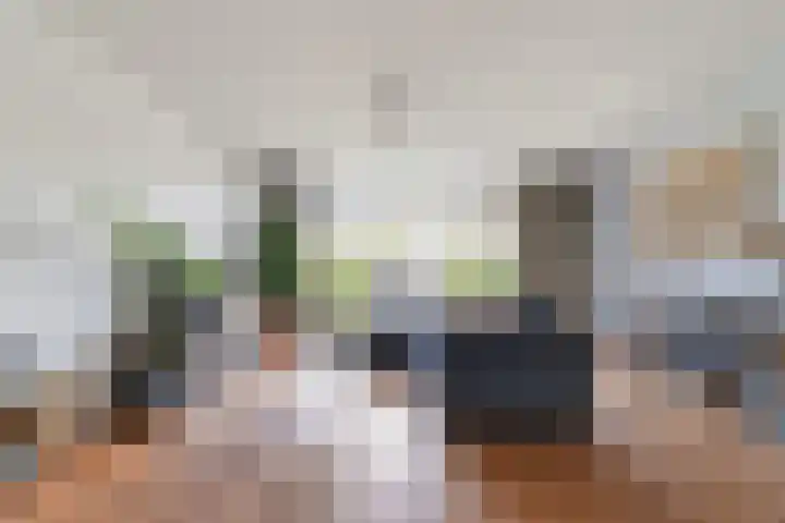 Bloemenblauwtje 71 Breda thumbnail 12