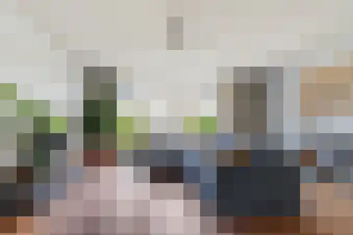 Bloemenblauwtje 71 Breda thumbnail 13