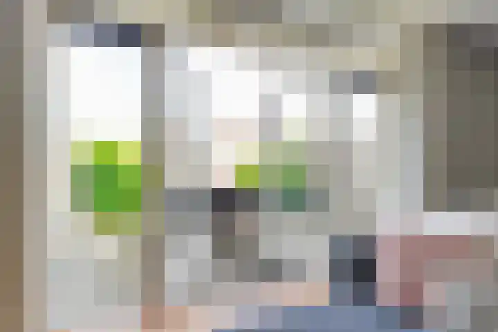 Bloemenblauwtje 71 Breda thumbnail 15