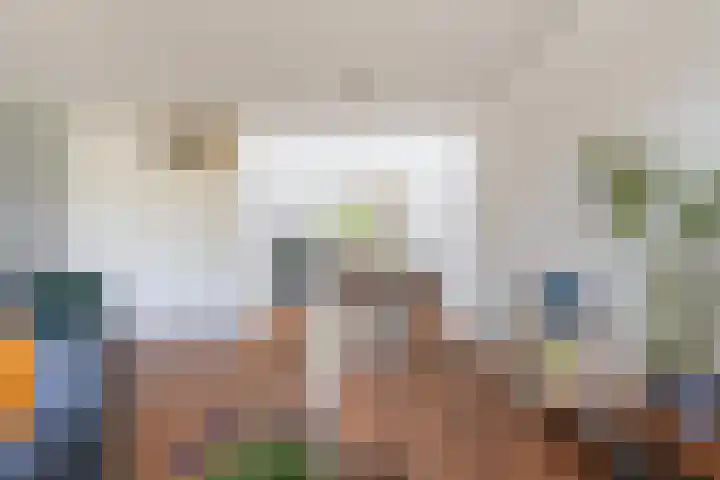 Bloemenblauwtje 71 Breda thumbnail 17