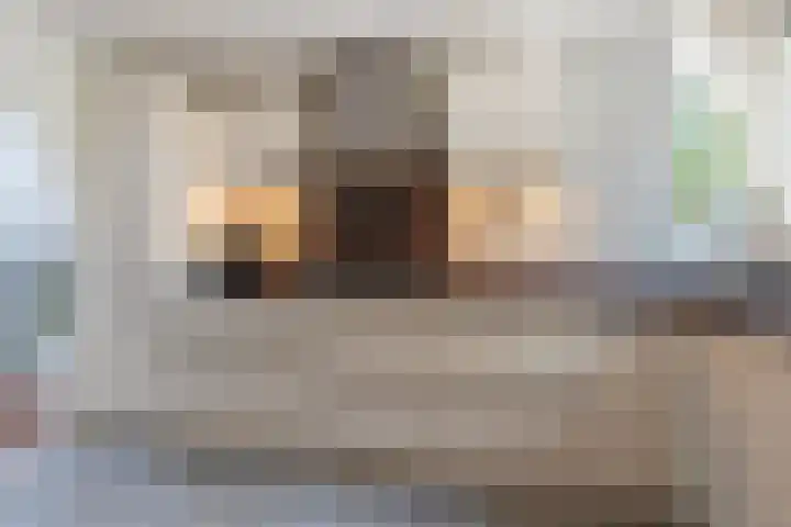 Bloemenblauwtje 71 Breda thumbnail 24