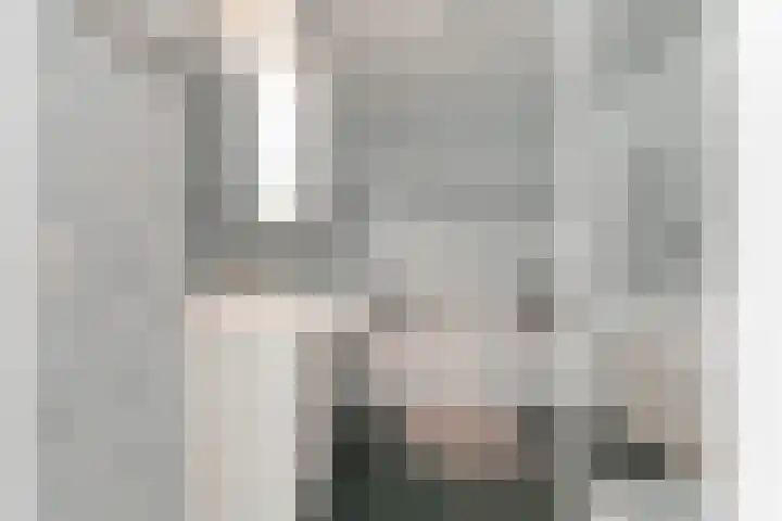 Bloemenblauwtje 71 Breda thumbnail 33