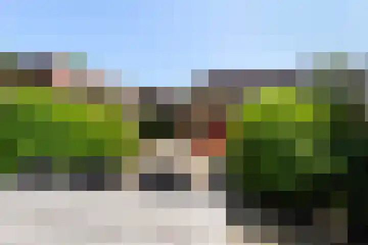 Bloemenblauwtje 71 Breda thumbnail 4