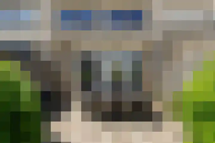 Bloemenblauwtje 71 Breda thumbnail 49
