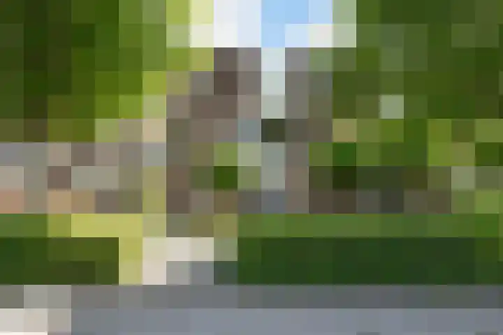Bloemenblauwtje 71 Breda thumbnail 5