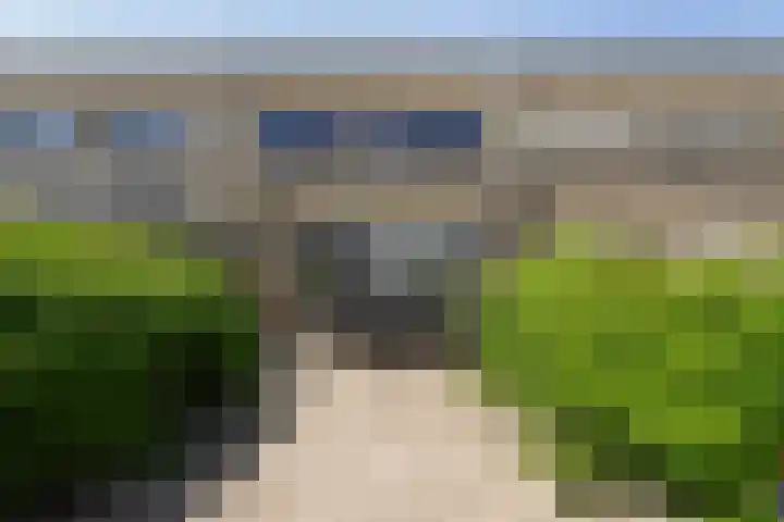 Bloemenblauwtje 71 Breda thumbnail 50