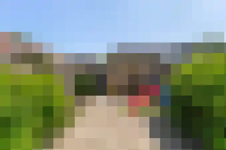 Bloemenblauwtje 71 Breda thumbnail 51