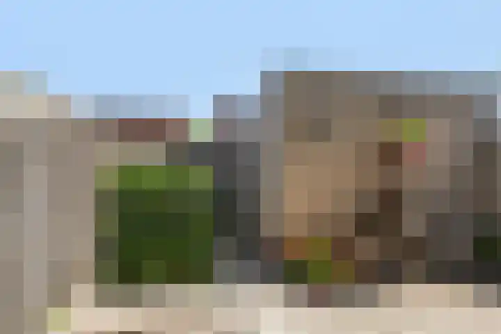 Bloemenblauwtje 71 Breda thumbnail 52