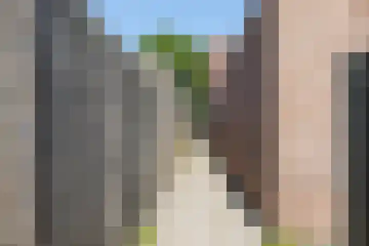 Bloemenblauwtje 71 Breda thumbnail 53