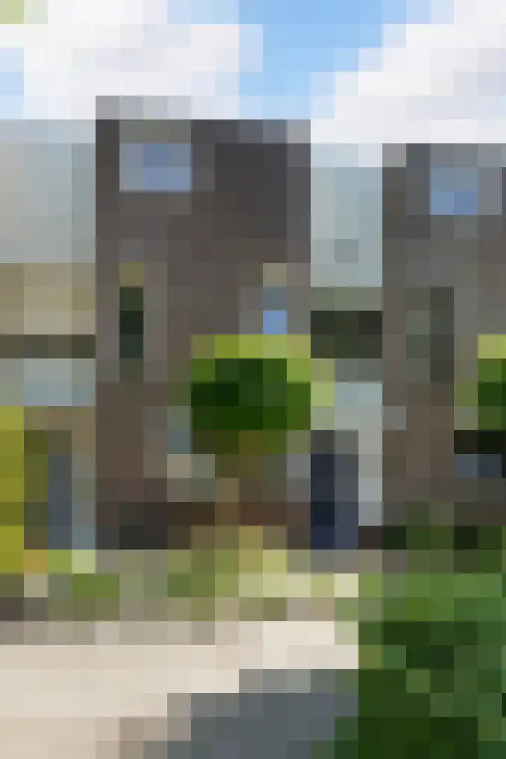 Bloemenblauwtje 71 Breda thumbnail 54
