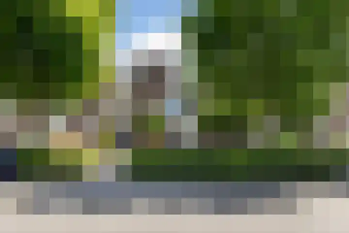 Bloemenblauwtje 71 Breda thumbnail 55