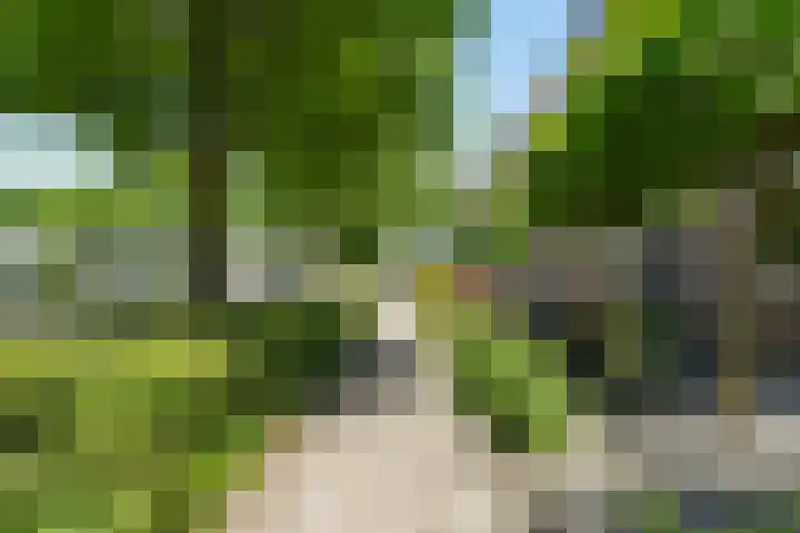Bloemenblauwtje 71 Breda thumbnail 56