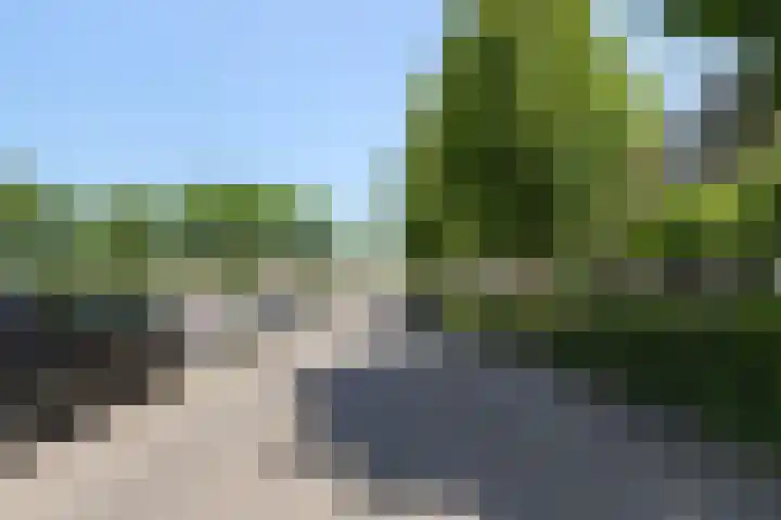 Bloemenblauwtje 71 Breda thumbnail 57