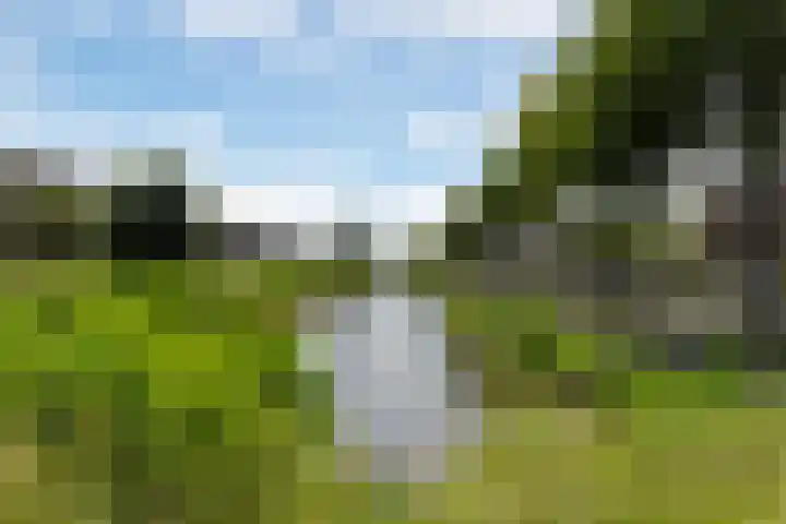 Bloemenblauwtje 71 Breda thumbnail 58