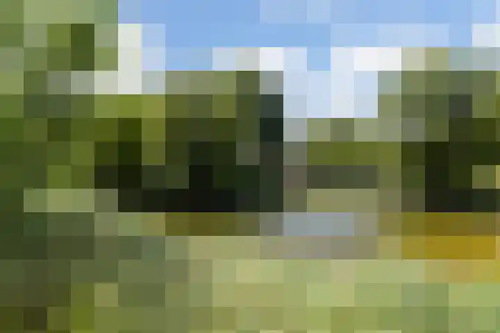 Bloemenblauwtje 71 Breda thumbnail 59