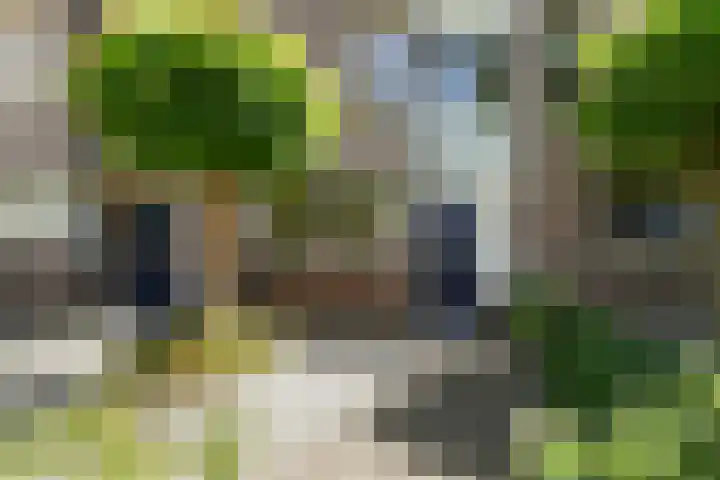 Bloemenblauwtje 71 Breda thumbnail 6