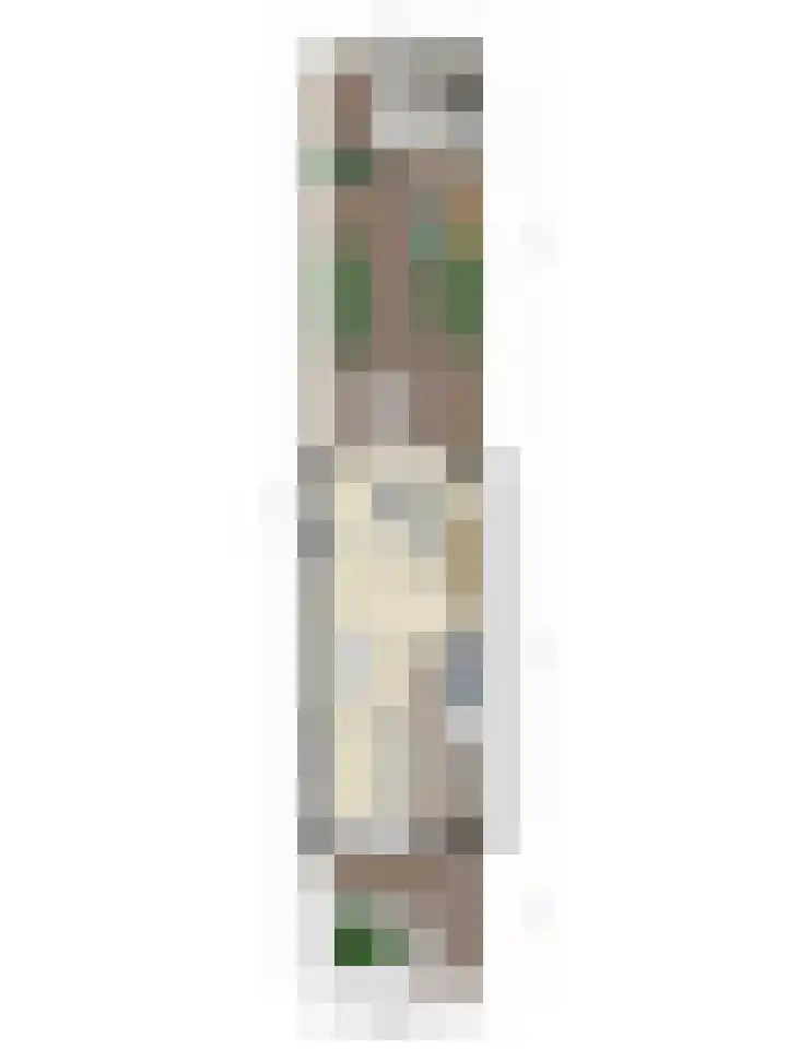 Bloemenblauwtje 71 Breda thumbnail 61