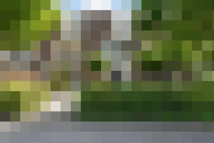 Bloemenblauwtje 71 Breda thumbnail 65