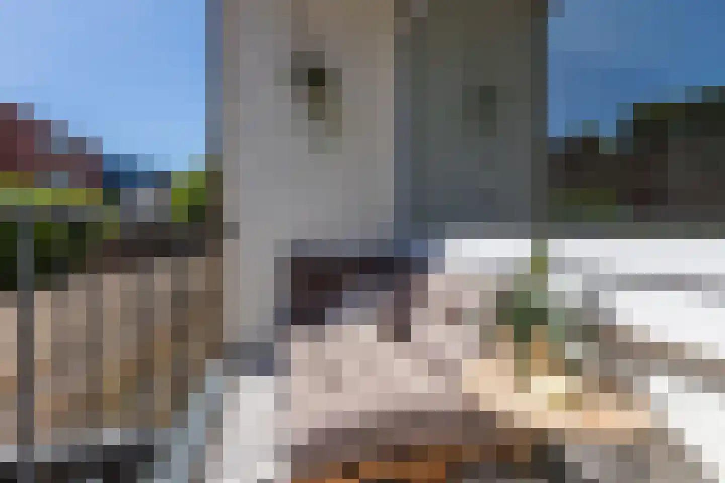 Bloemenburgerhof 22 Nijmegen thumbnail 6