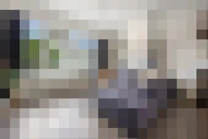 Bloemenburgerhof 28 Nijmegen thumbnail 9