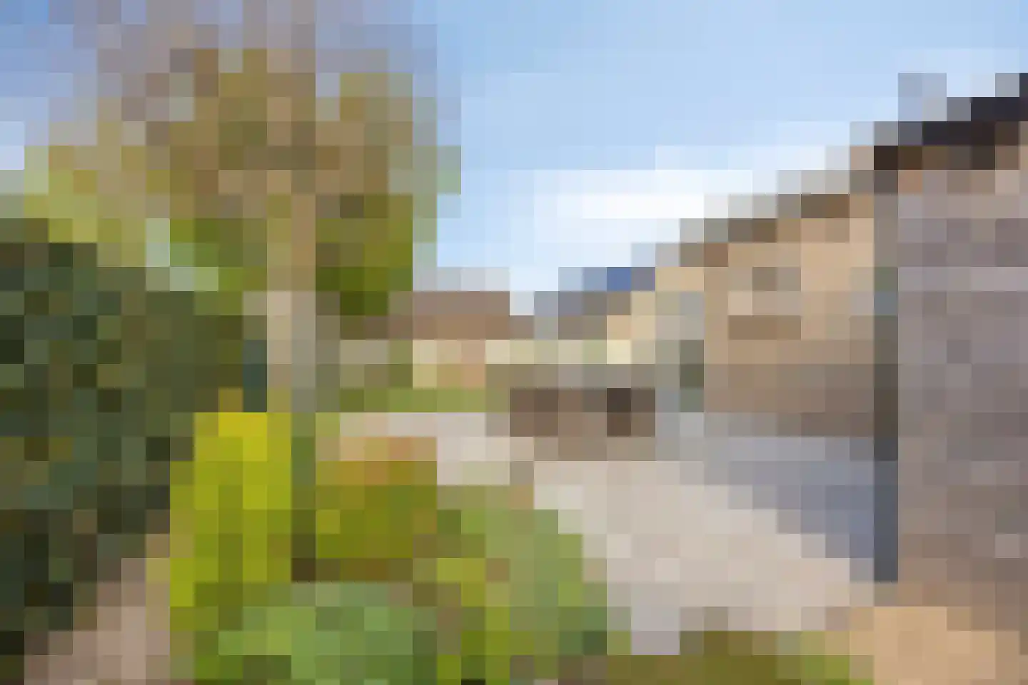 Bloemendaal 1 Dirksland thumbnail 42
