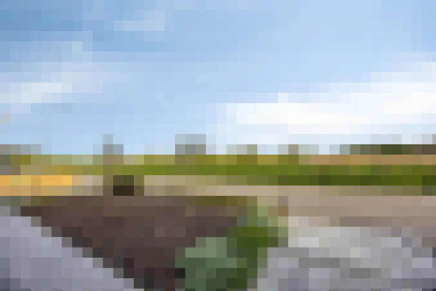 Bloemendaal 1 Dirksland thumbnail 7