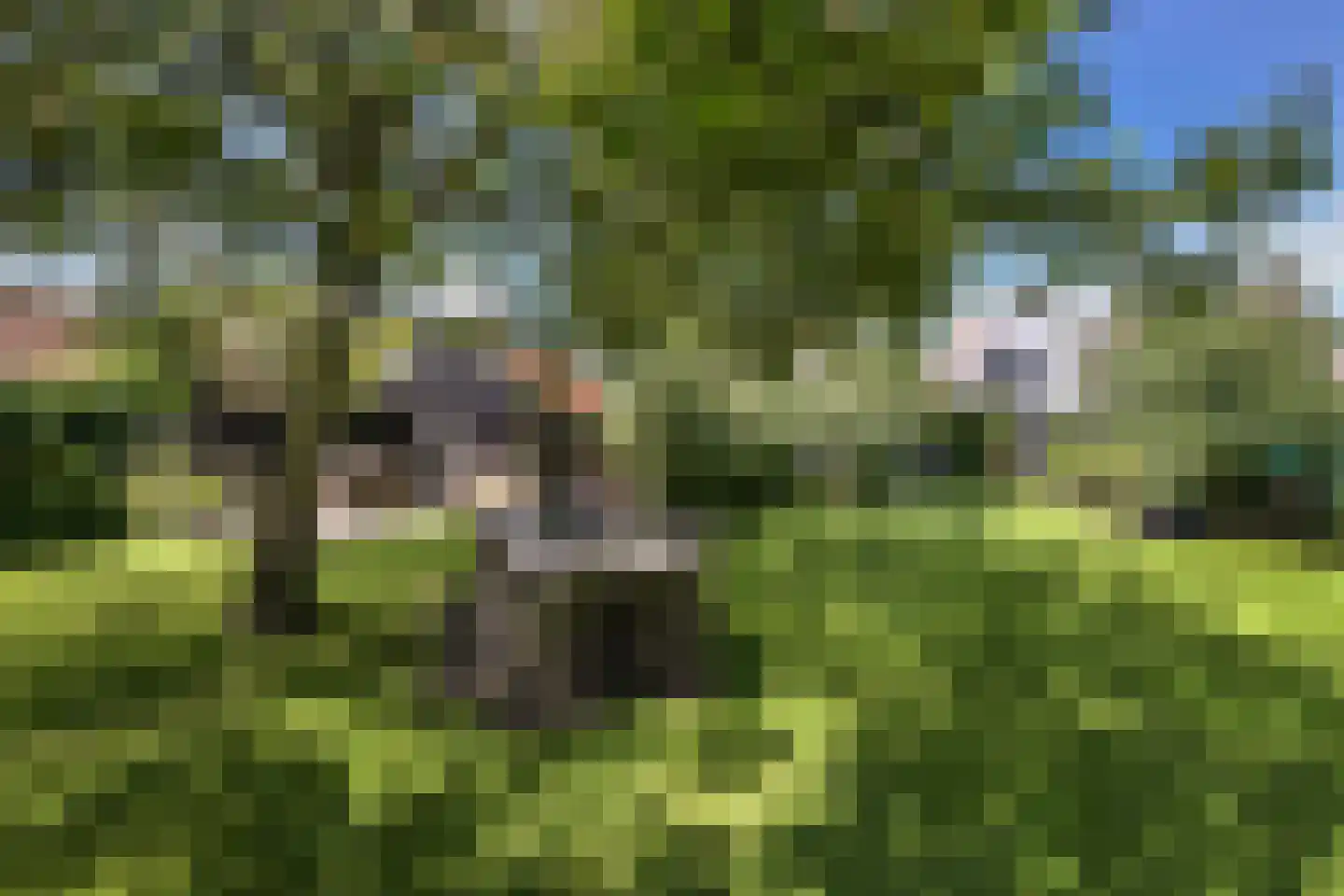 Bloemendaal 4 Monnickendam thumbnail 42