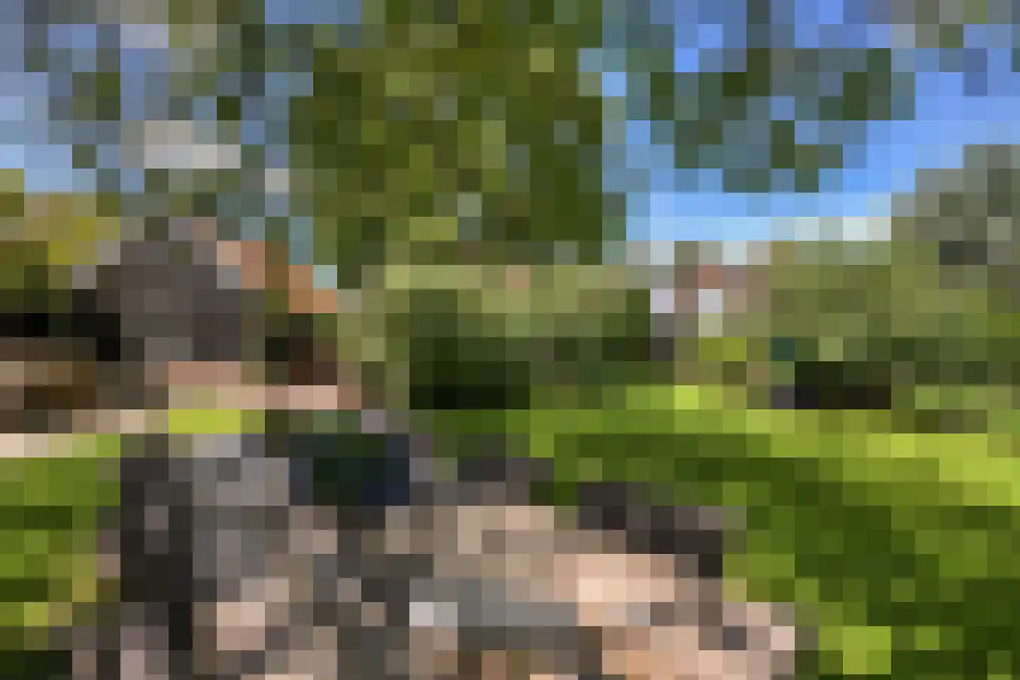 Bloemendaal 4 Monnickendam thumbnail 43