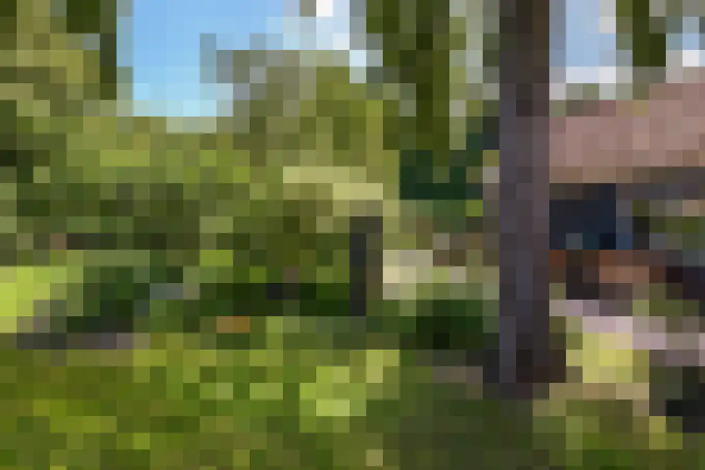 Bloemendaal 4 Monnickendam thumbnail 45