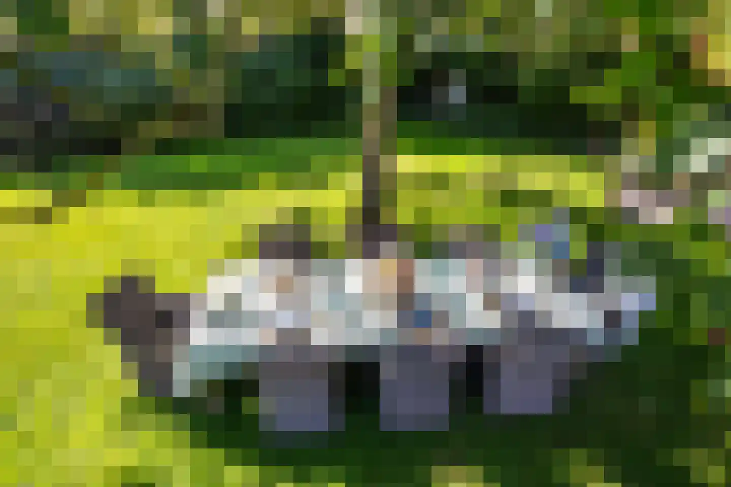 Bloemendaal 4 Monnickendam thumbnail 47