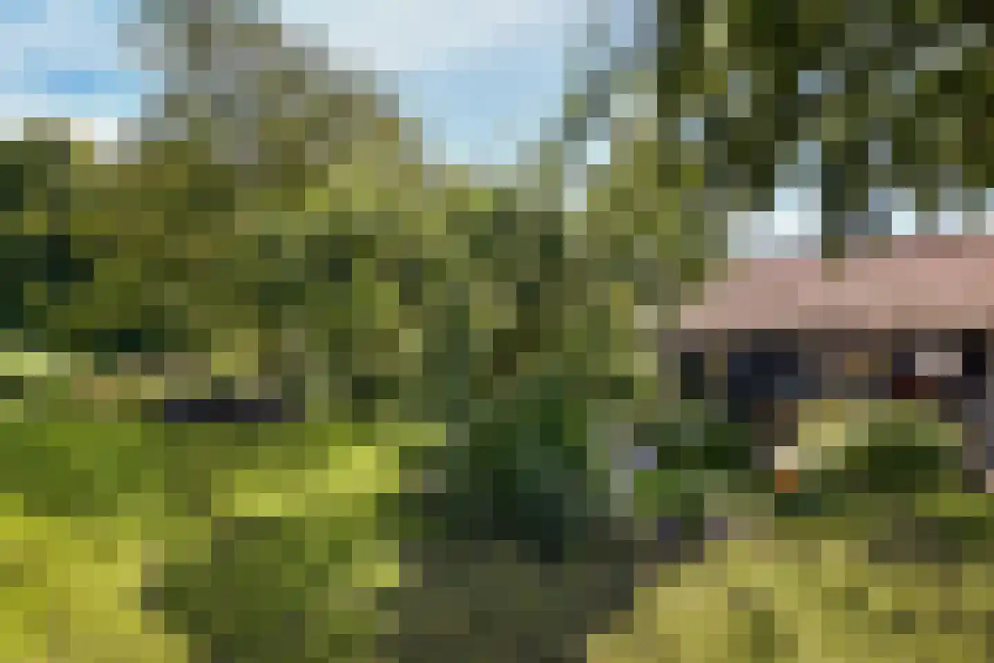 Bloemendaal 4 Monnickendam thumbnail 48