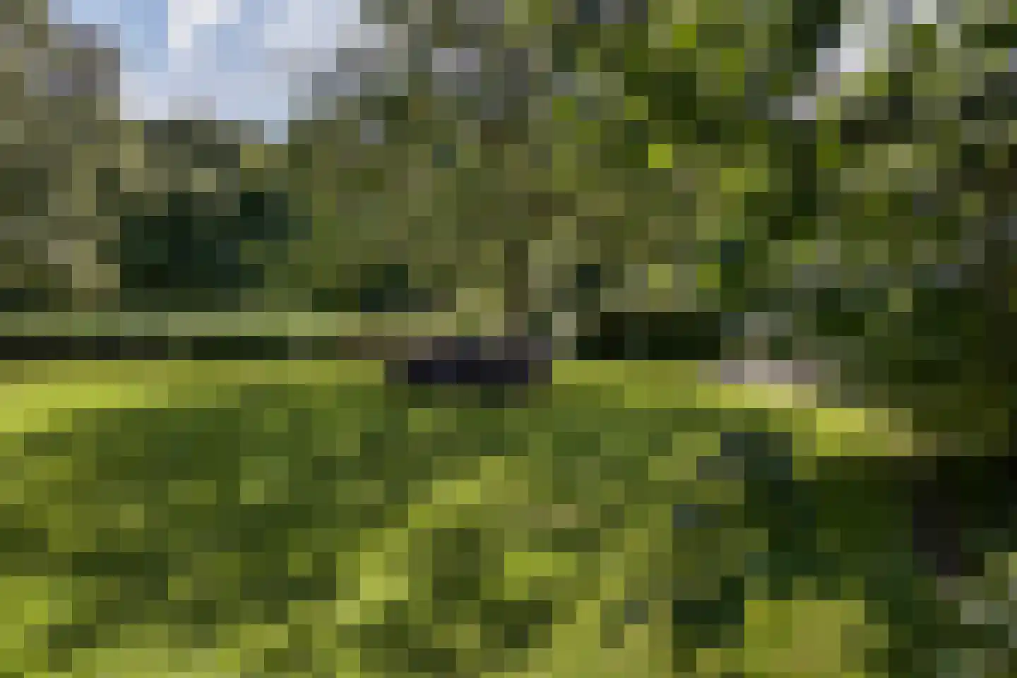 Bloemendaal 4 Monnickendam thumbnail 49