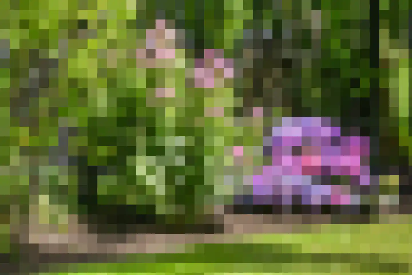 Bloemendaal 4 Monnickendam thumbnail 50
