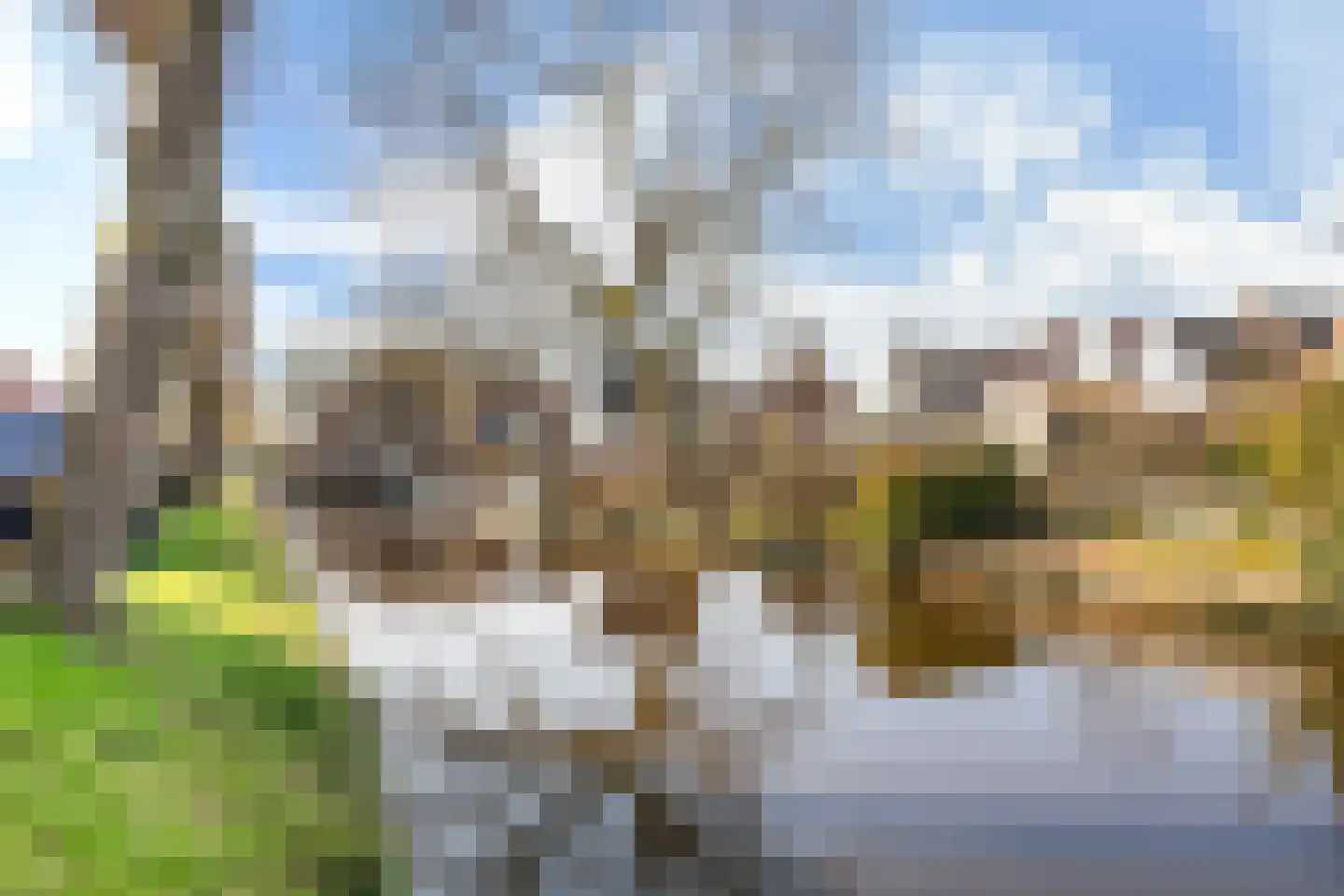 Bloemendaal 4 Monnickendam thumbnail 6