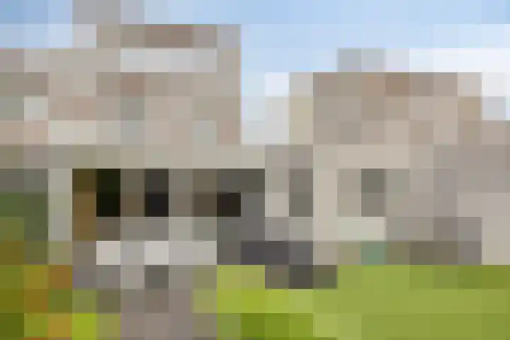 Bloemendaal 6 Oss thumbnail 28